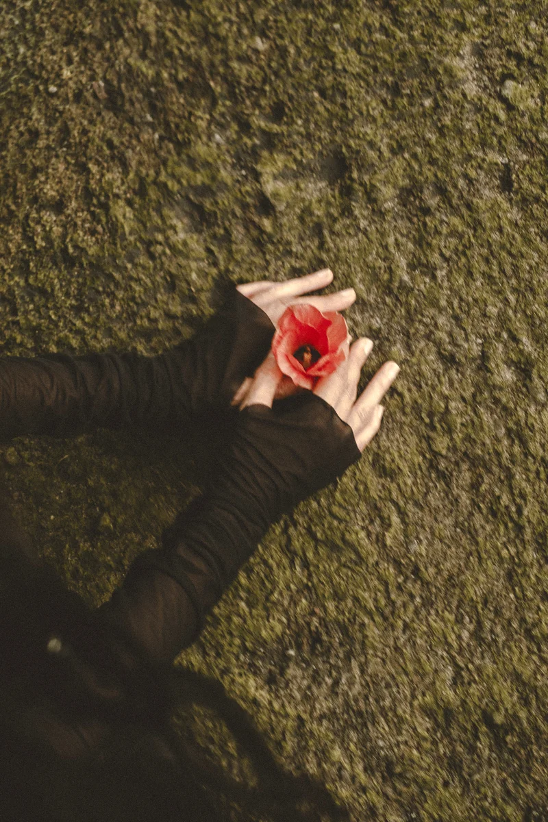 2025 — Вода, Деталь, Цвет, Утонченность, Взгляд, Эмбиент, Покой, Присутствие, Прикосновение