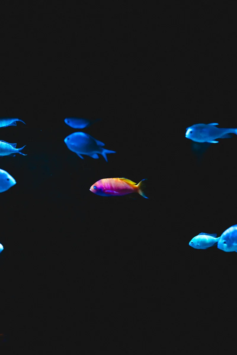 Бангкок 2024 — жара, неон и тропический ритм города